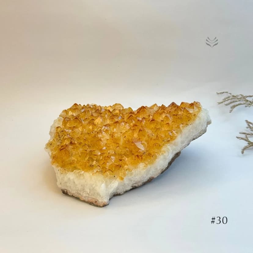 Cash Flow Activator Citrine